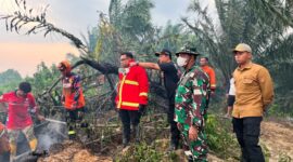 Bupati Kukar, Aulia Rahman Basri saat memadamkan api di lokasi kejadi karhutla (Ist)
