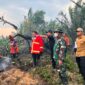 Bupati Kukar, Aulia Rahman Basri saat memadamkan api di lokasi kejadi karhutla (Ist)